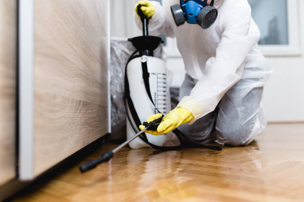 Best Local Pest Control Services  in Sumas, WA