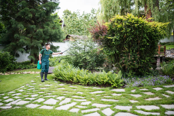 Best Affordable Exterminators  in Sumas, WA