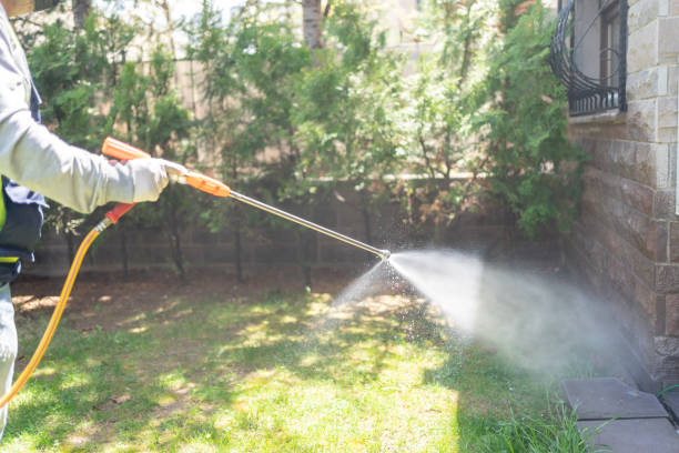 Best Wasp Removal Services  in Sumas, WA
