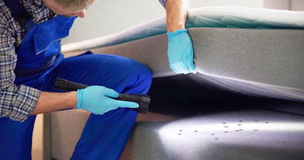 Wasp Removal Services in Sumas, WA