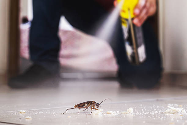 Best Affordable Pest Control Services  in Sumas, WA